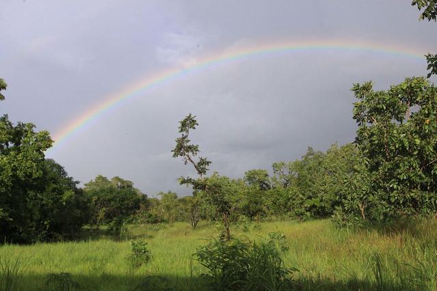 Comoé National Park